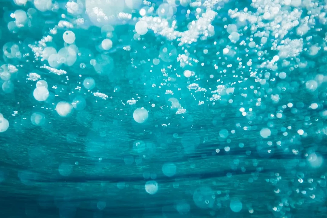 楽しみ広がる、庶民派銭湯